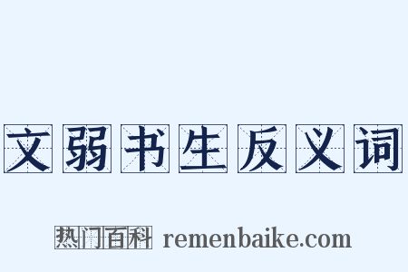 文弱书生反义词是什么意思的图片